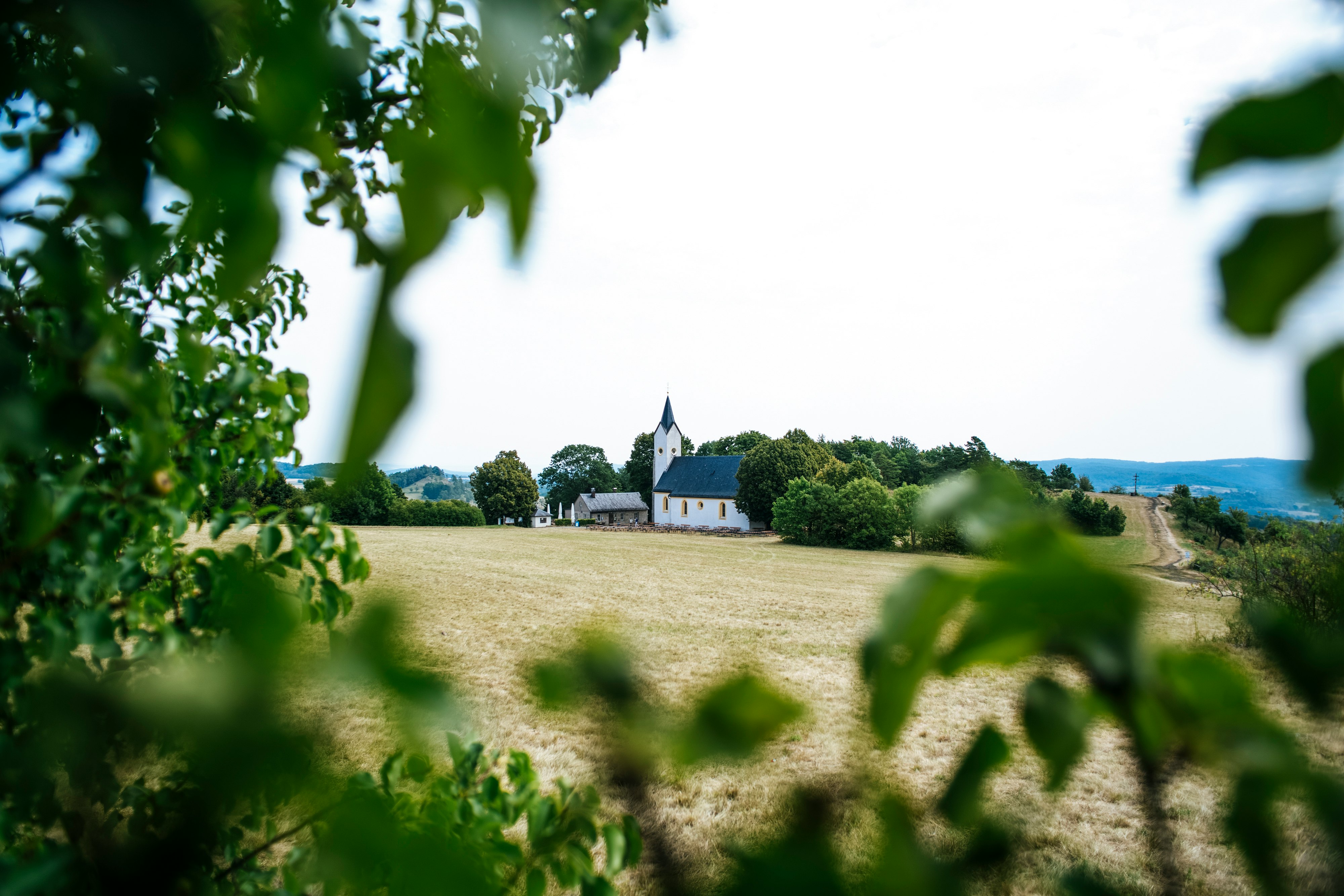 green grass field near white and black house under white sky during daytime